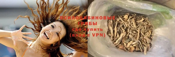 дурь Медногорск