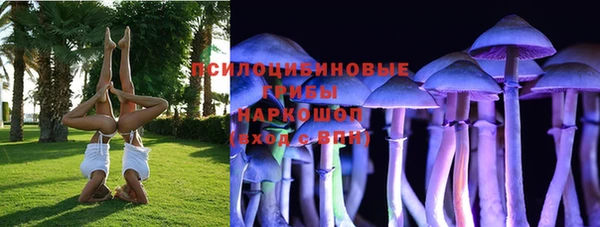 дурь Медногорск