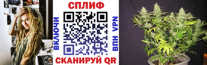 KRAKEN онион  Иланский  Бошки Шишки план 